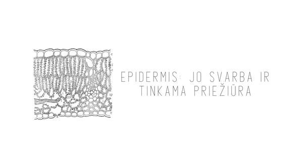 Epidermis: jo svarba ir tinkama priežiūra