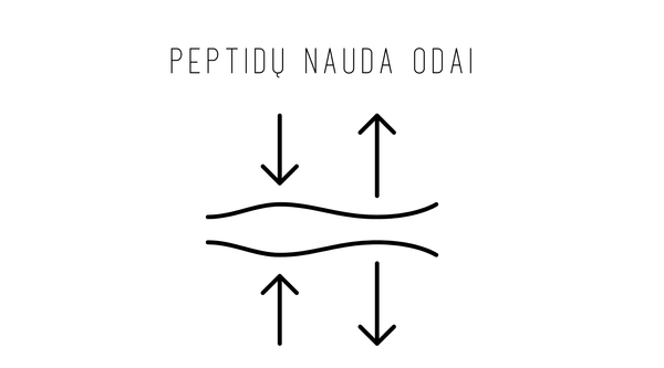 Peptidu nauda veido odai